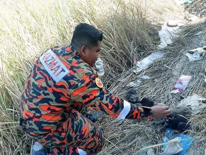 via Penang Kini/Bomba