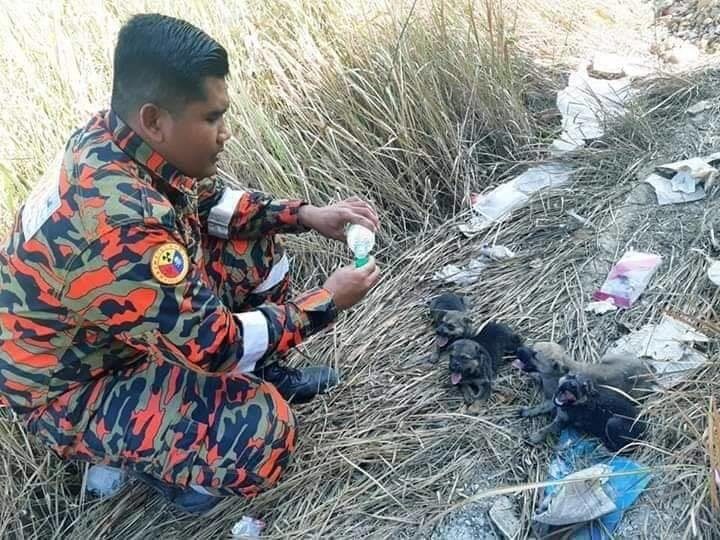 via Penang Kini/Bomba