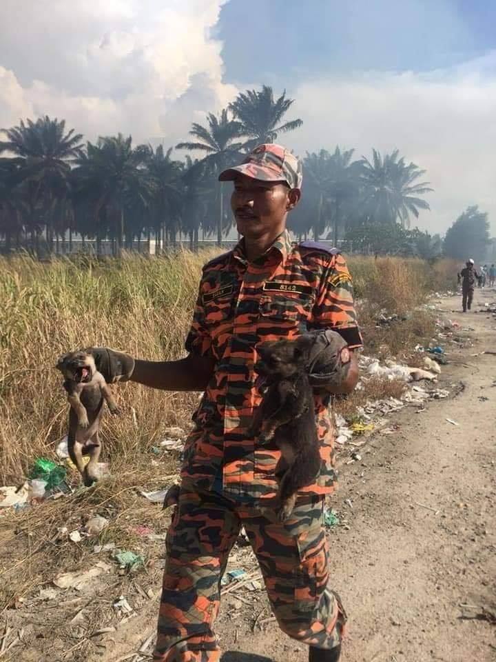 via Penang Kini/Bomba