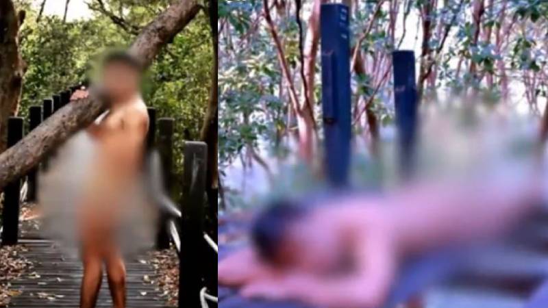 Screenshot: Channel 7 News