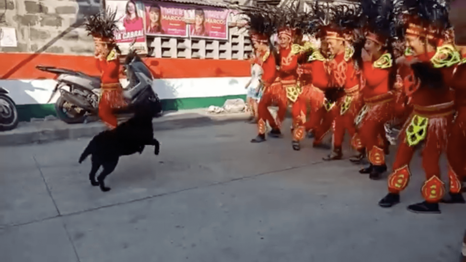 Photo: Deanna Gozum Manuel/FB