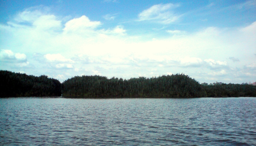 Tasik Chini via Wikimedia Commons
