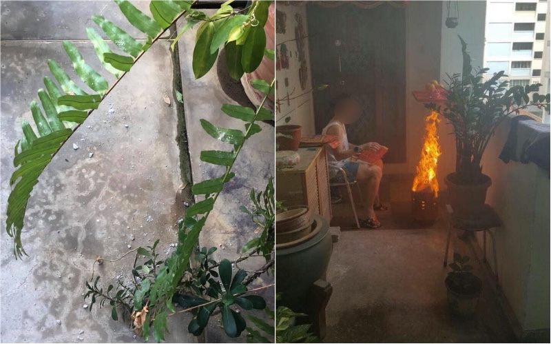 Photos: Sinchita Sathish / Facebook