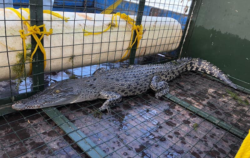 Photo: PUB / Facebook