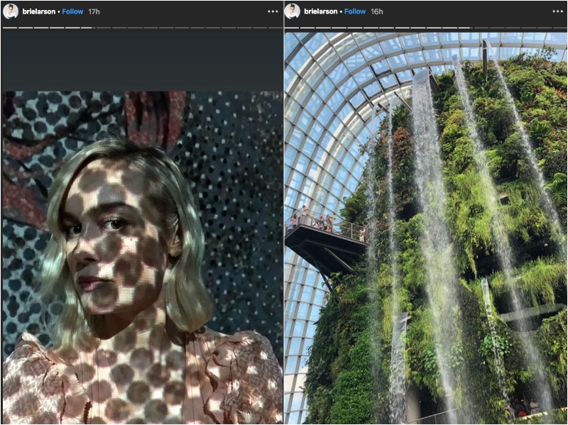 Photos: @brielarson Instagram Stories