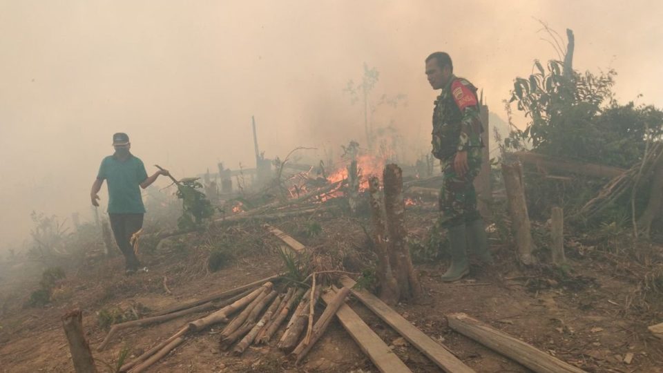 Photo of fires in Riau posted on Sept 17, 2018 by Sutopo Purwo Nugroho, the Head of the National Agency for Disaster Management’s Data Information and Public Relations Center.  Photo: @Sutopo_PN / Twitter 