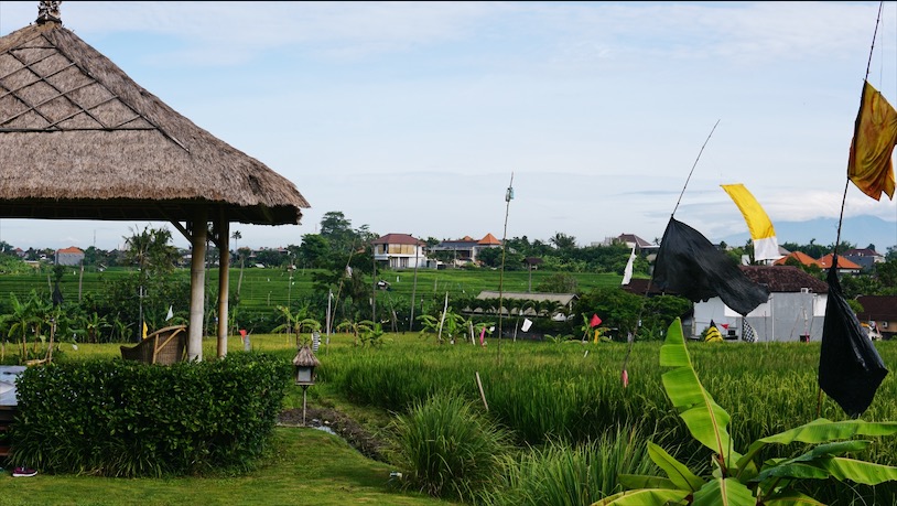 The yoga shala. Photo: Coconuts Bali