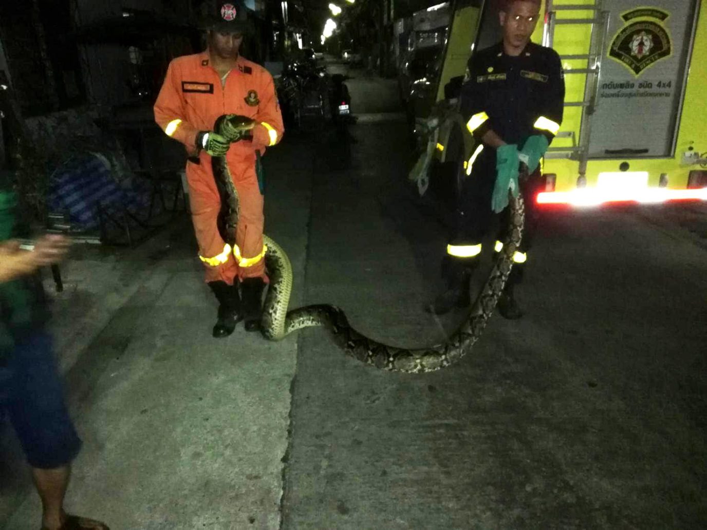 Monstrous 6-meter python discovered sleeping on Bangkok home’s roof ...
