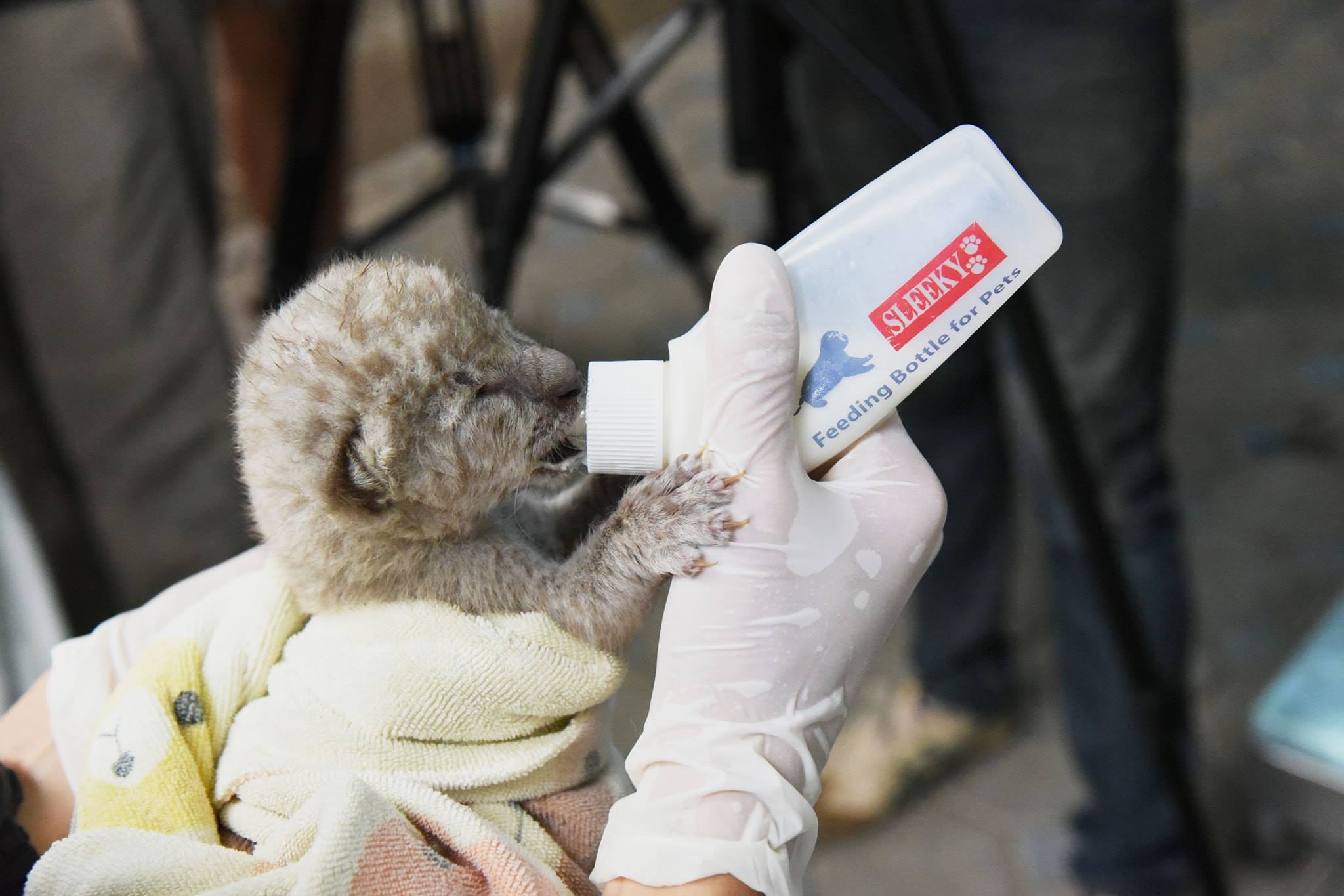 Photo: Facebook/ PR DNP 