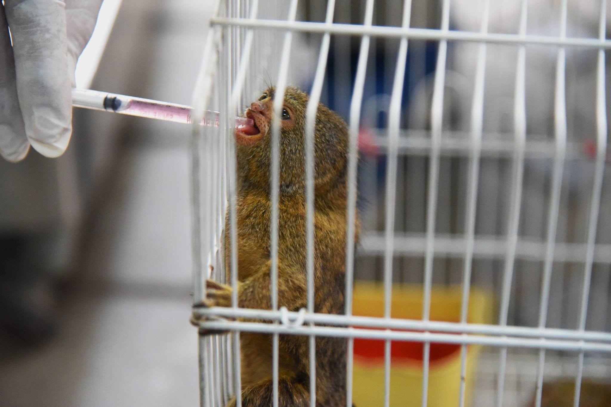 Photo: Facebook/ PR DNP 