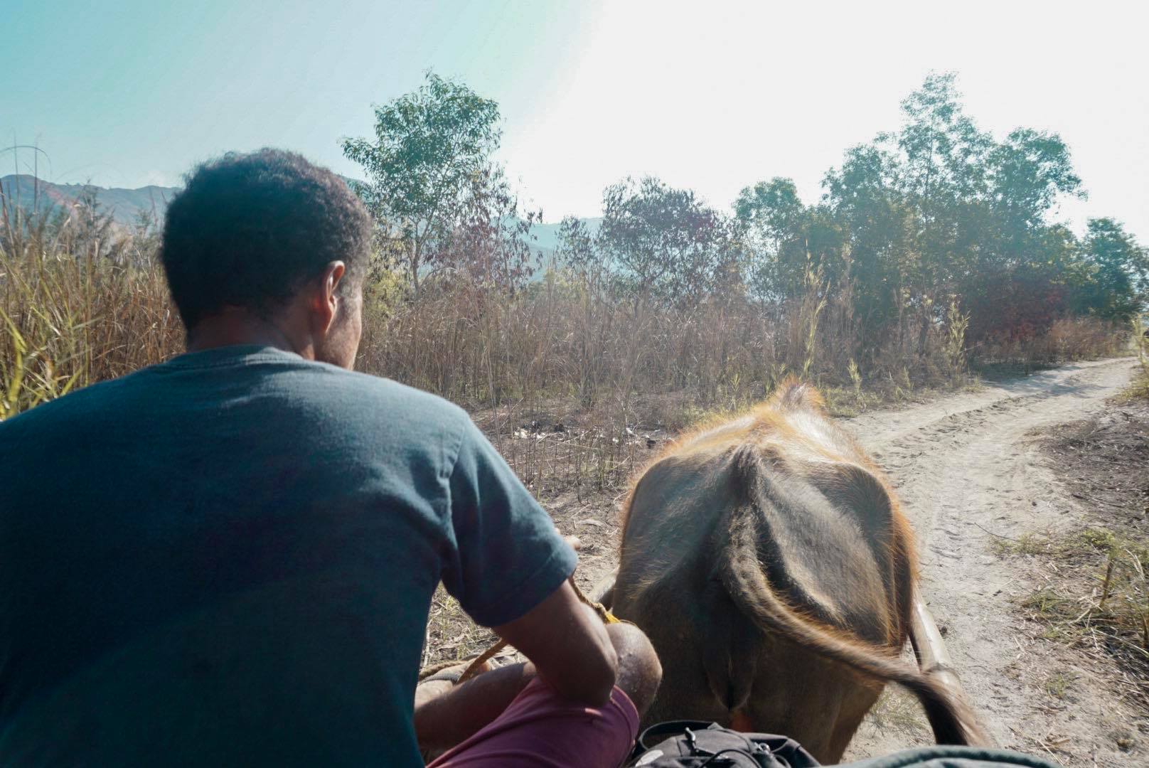 The view from the carabao cart. Photo: Kaka Corral