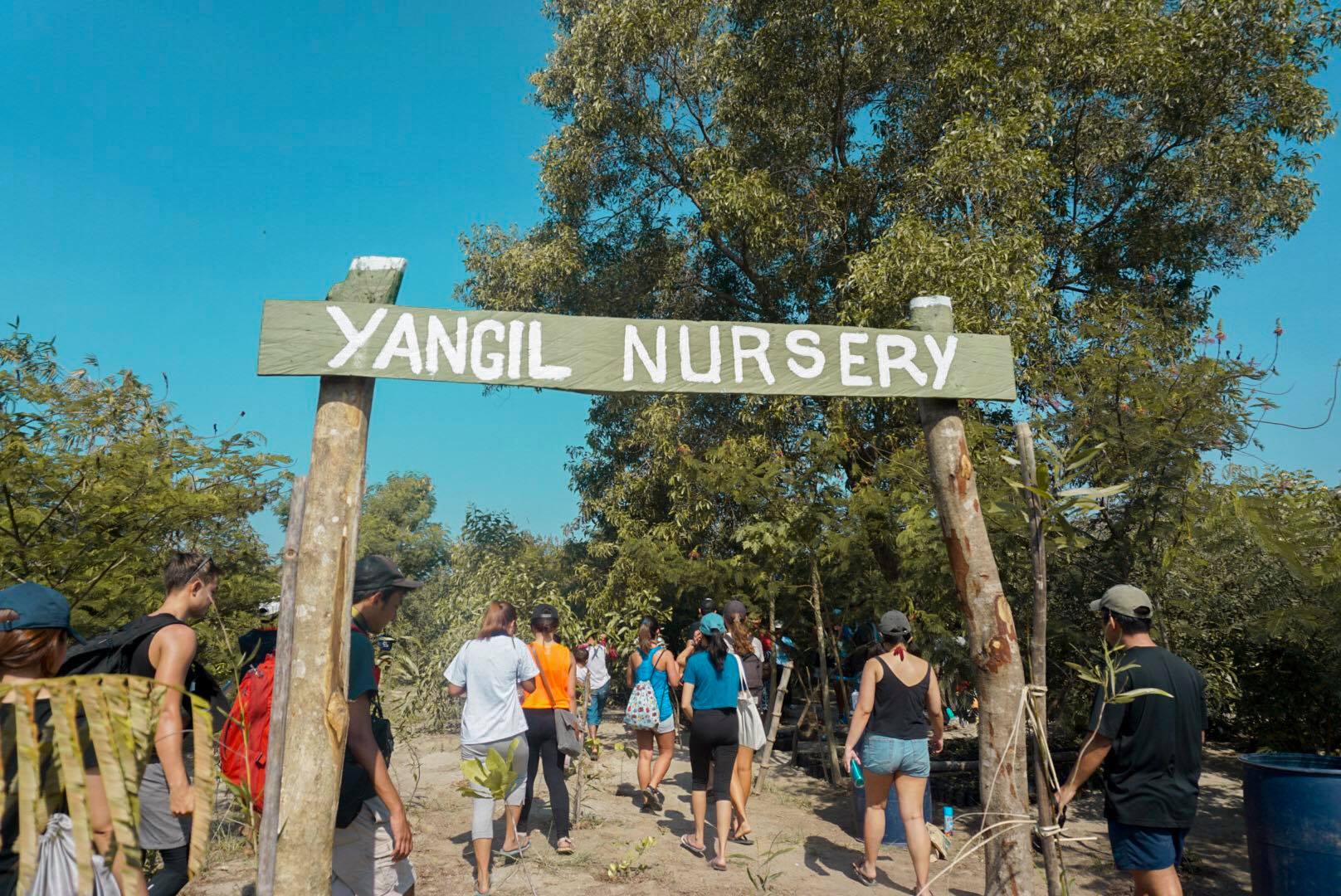 Yangil tree nursery. Photo: Jia Mercado