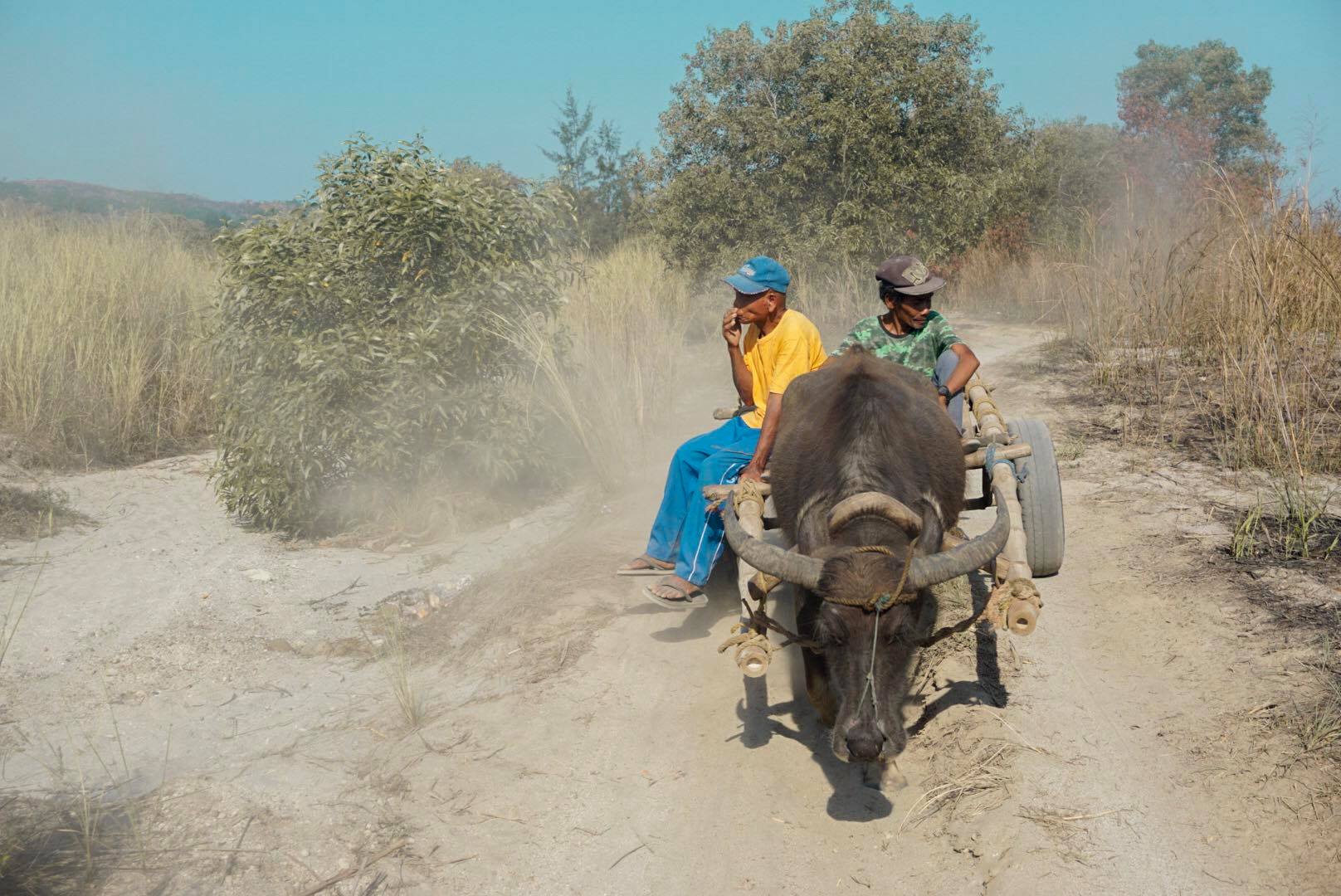 Two Aeta men ride on a carabao. Photo: Jia Mercado