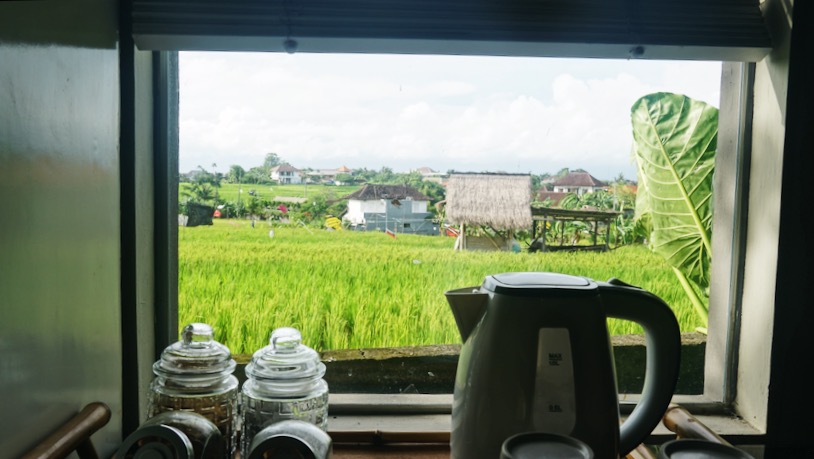 Room with a paddy view. Photo: Coconuts Bali