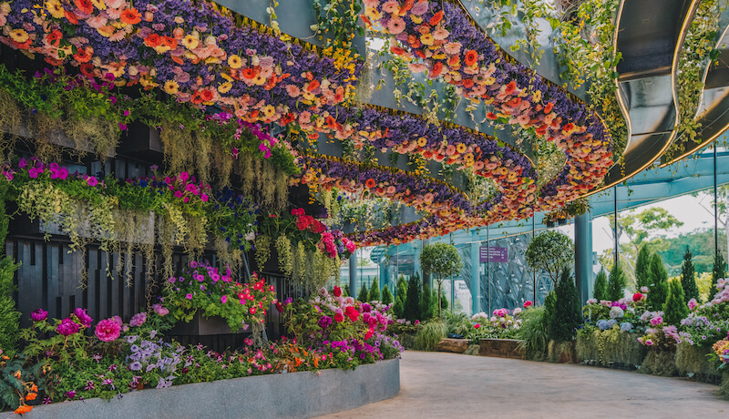 “Dance” landscape. Photo: Gardens by the Bay