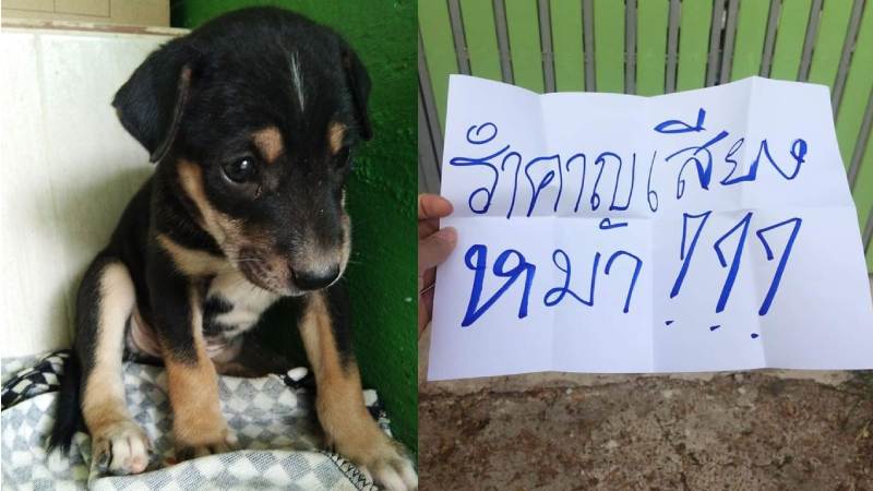 Photo: Facebook/ Fiw Feaw smile