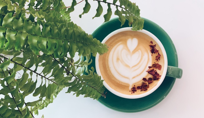 Rose latte. Photo: Botany