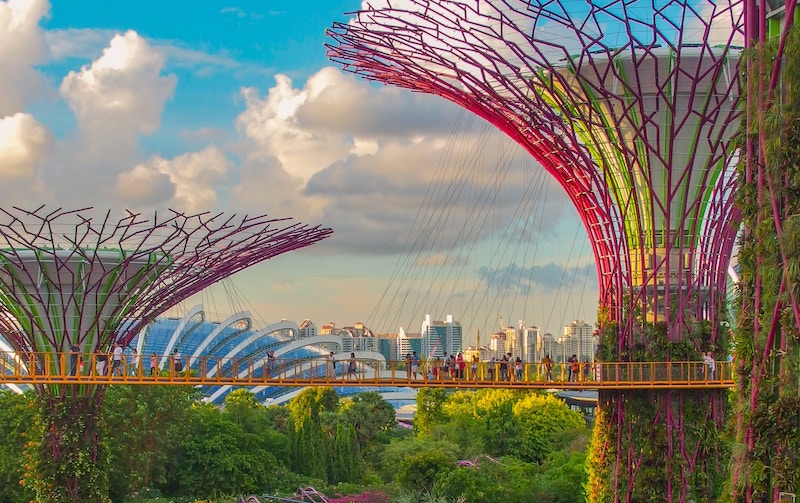 Photo: Coleen Rivas / Unsplash