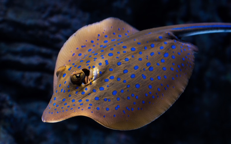 Photo: David Clode / Unsplash