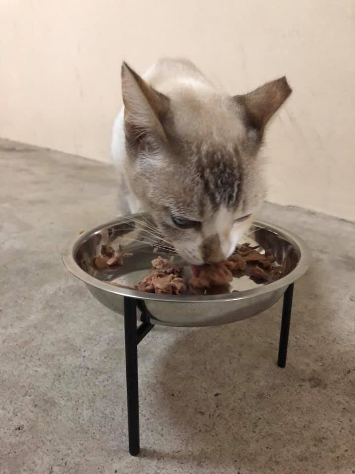 (Photo: Humaira Abdul Rahman / Facebook)