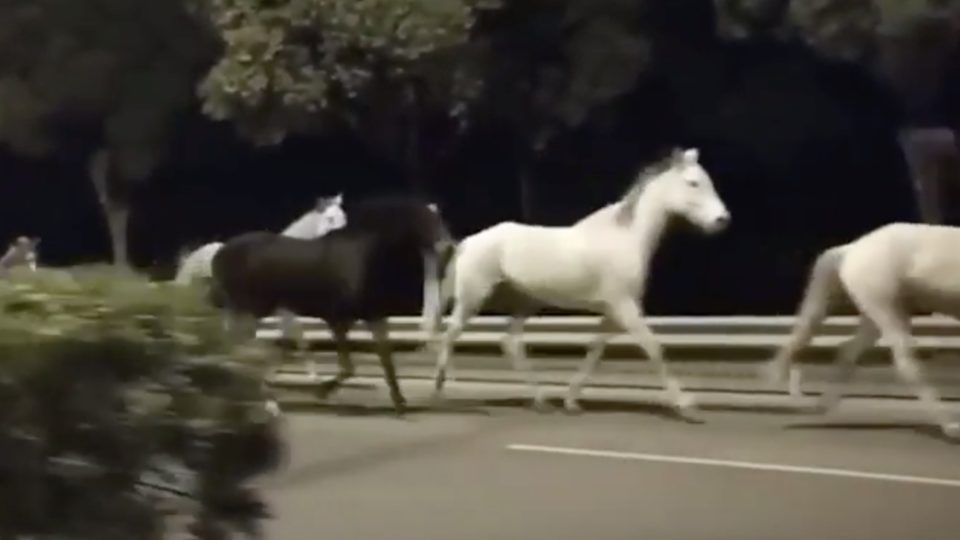 Screengrab via YouTube.