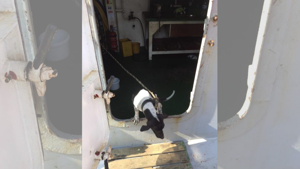 Photo via Facebook/Ha Wing-kin.