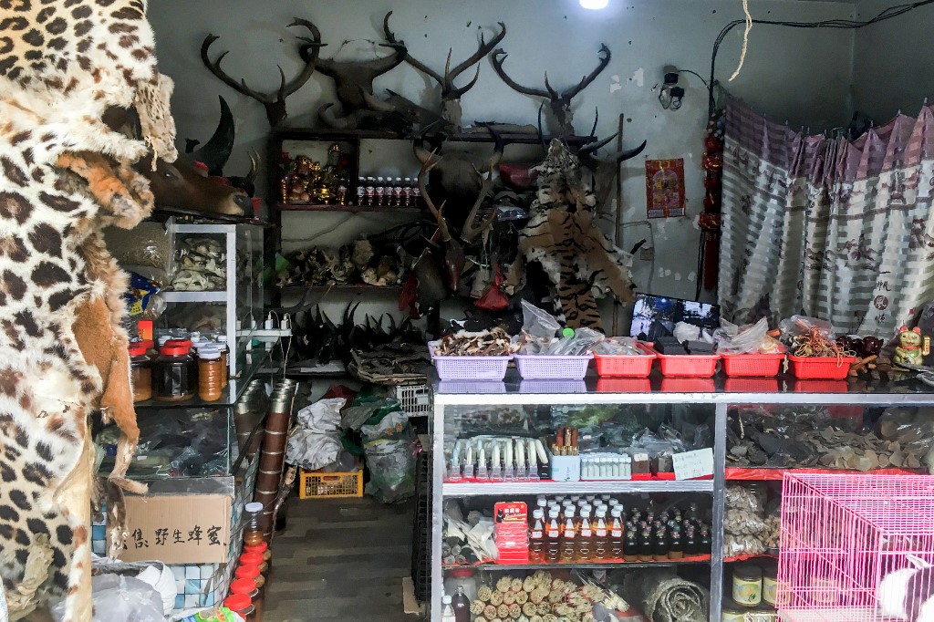 This photo taken on April 16, 2019 shows items for sale in a shop selling wildlife and animal products in Panghsang in eastern Shan State. - Bentleys and BMW convertibles roll up to the brash 'Venetian Casino' in Mongla on the Myanmar-China border, a melting pot of sex, drugs and gambling on a frontier that has become a 'supermarket' for illegally traded wildlife. The insatiable Chinese demand for illegal wildlife products is driving the booming trade in Panghsang, a reclusive city to the north of Mongla in territory controlled by the ethnic Wa. (Photo by Hla-Hla HTAY / AFP)