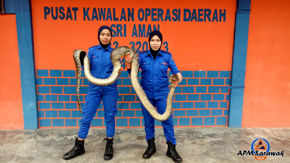 via APM Sri Aman Facebook