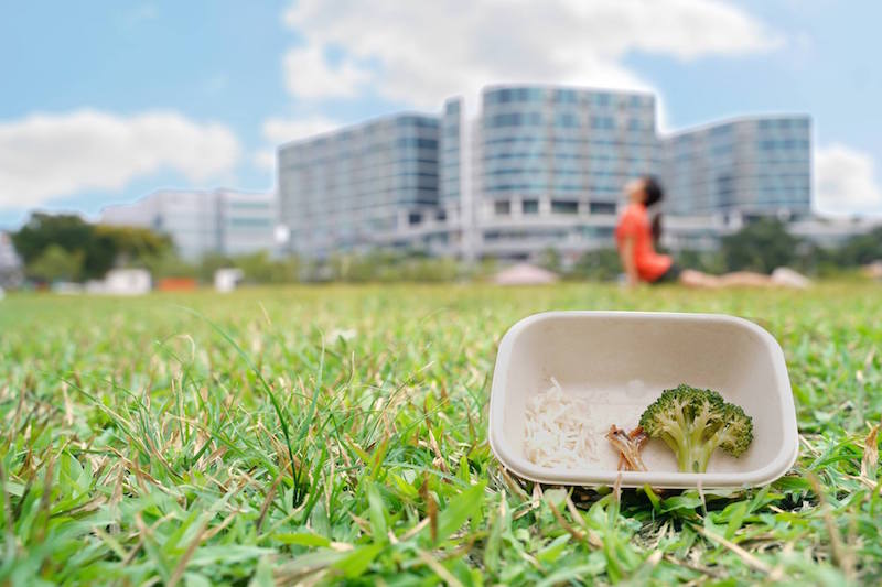 If you enjoy food, this one's not for you. Photo: Grain/Facebook