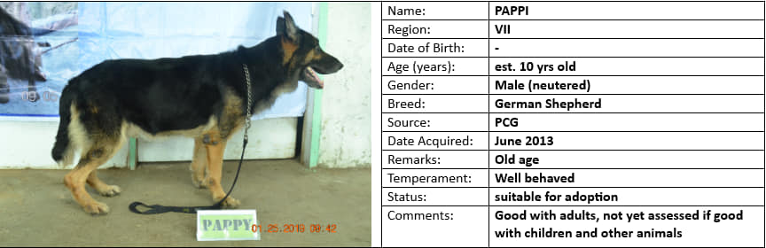 Photo: PDEA Top Stories/FB