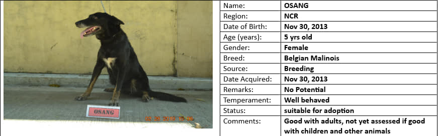 Photo: PDEA Top Stories/FB