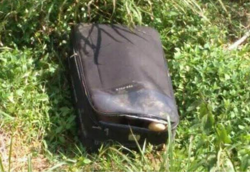 The headless body of a dance teacher was found shoved inside a suitcase in Blitar, East Java on April 3, 2019. Photo: East Java Police