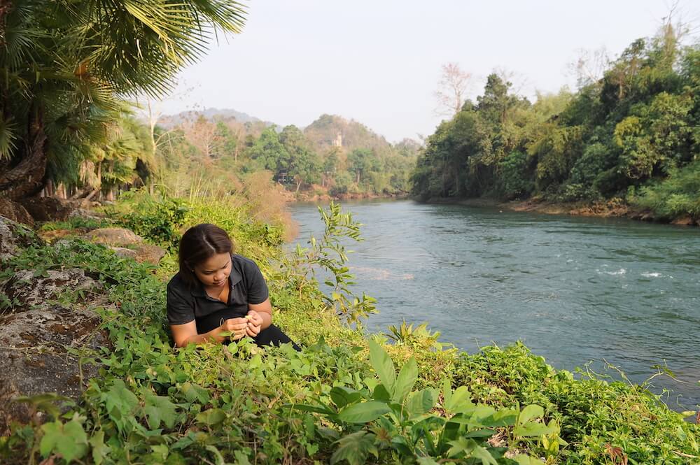 Chef Bee examining wild plants on the banks of the Khwae Noi River in Kanchanaburi Province. Credit Paste Bangkok.JPG