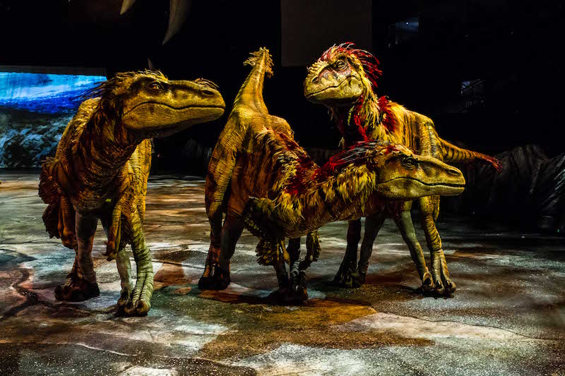 Raptors. Photo: Walking With Dinosaurs