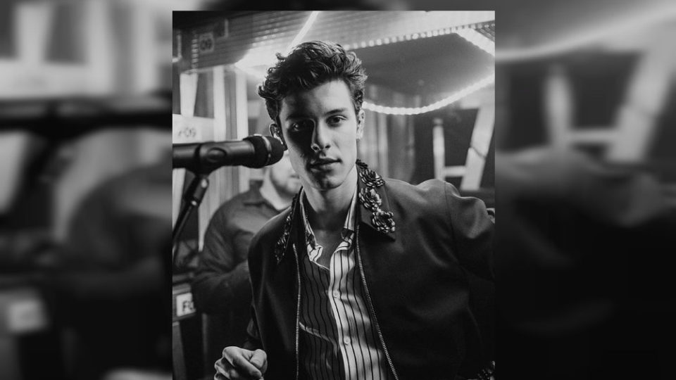 Photo: Shawn Mendes/IG