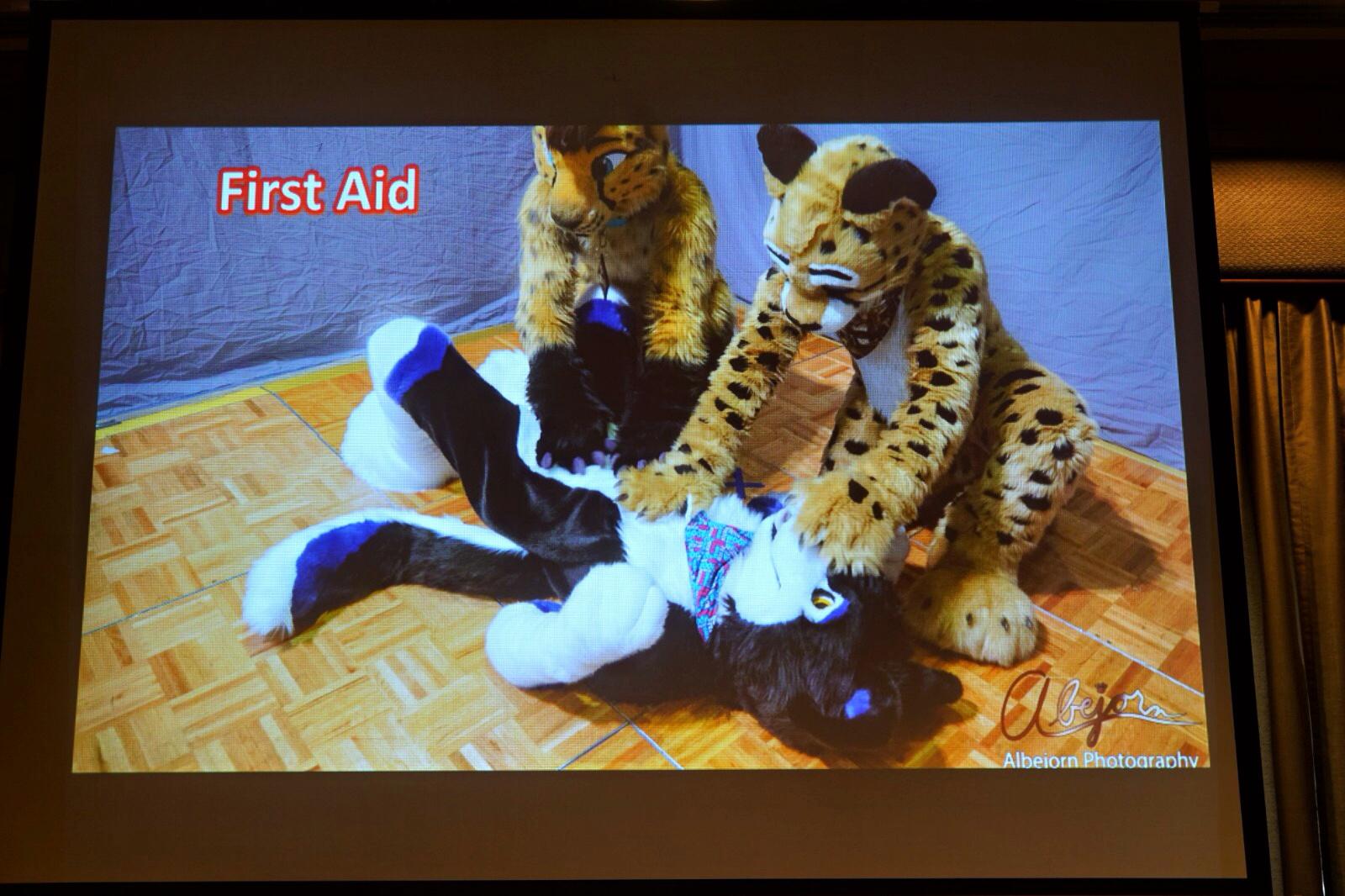 A First Aid seminar at Thaitails 2019