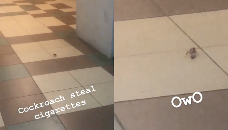 Screengrabs from video