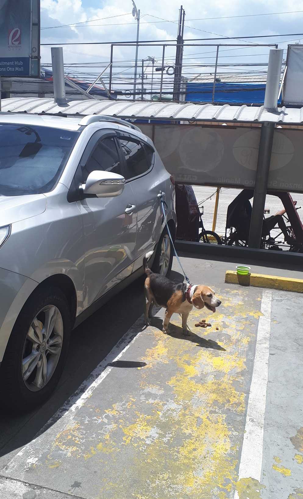 Photo: Mico Gonzales