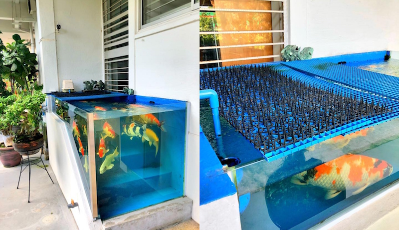 Photos: Baey Yam Keng 马炎庆/Facebook