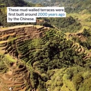 Screenshot: @AltPCOOSec Twitter. 