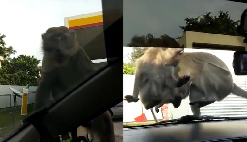 Photos: District Singapore/Facebook