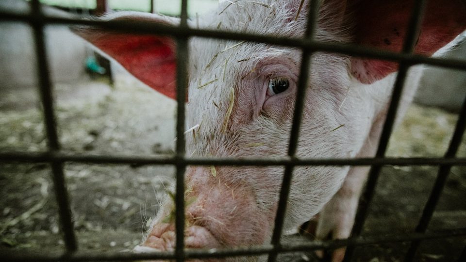 Image for illustration purposes only. Photo: Phil Hearing/Unsplash.