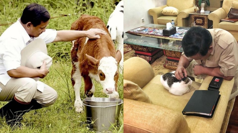 Photos: @rizky_irmansyah / Instagram