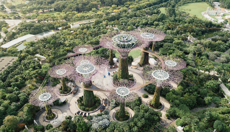 Gardens by the Bay. Photo: chuttersnap/Unsplash 