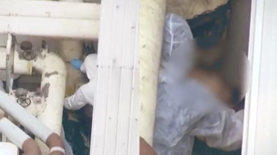 Forensics experts on the rooftop of a restaurant in To Kwa Wan where the dead body of a naked woman was found. Screengrab via Apple Daily video.