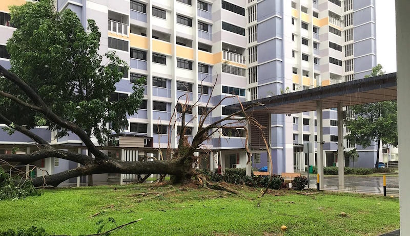 Photo: Cheryl Chan 陈慧玲/Facebook