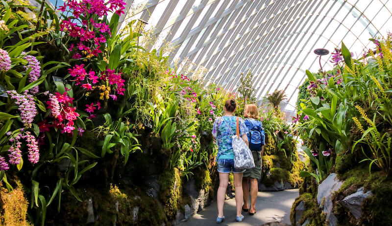 Scentsational Orchids. Photo: Gardens by the Bay