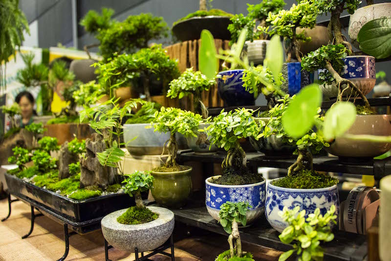 Planters from The 3 Keys. Photo: Sprout