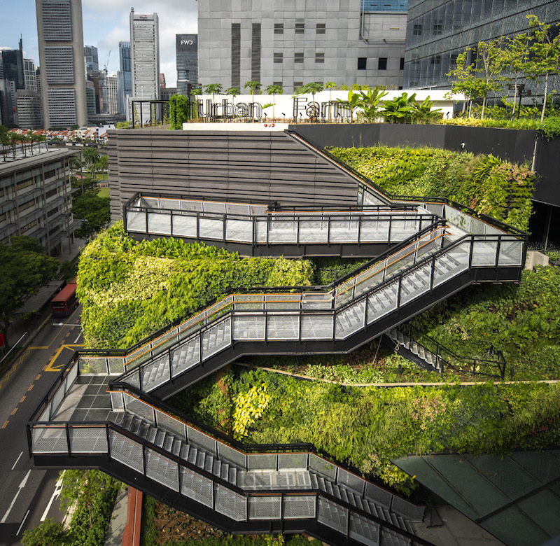 The urban farm. Photo: CapitaLand