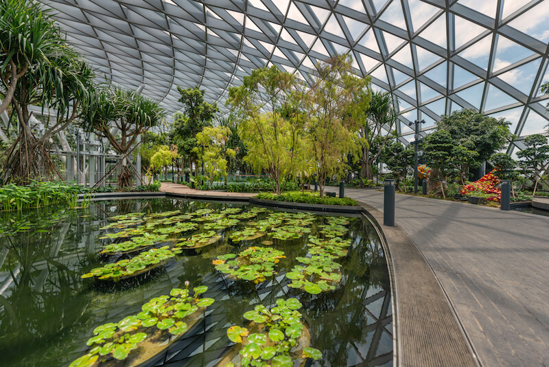 Canopy Park. Photo: Jewel Changi Airport